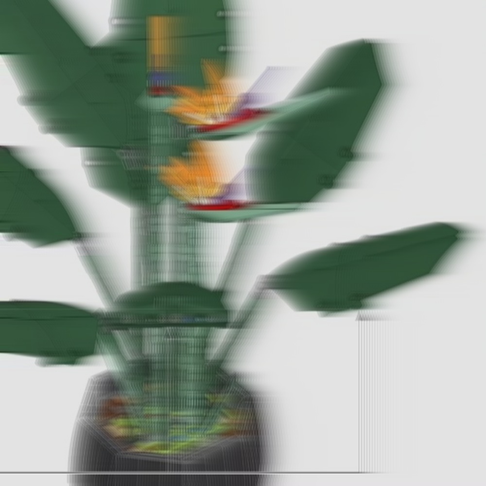 The Plant Parent - Beautiful Bird of Paradise Bouquet Display