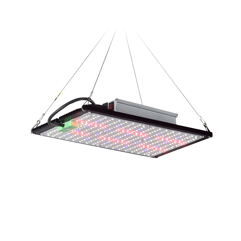 LED Quantum‑Board Grow Light F - Indoor Plants recension och pris