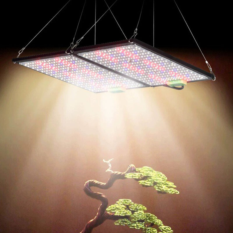 LED Quantum‑Board Grow Light F - Indoor Plants recension och pris