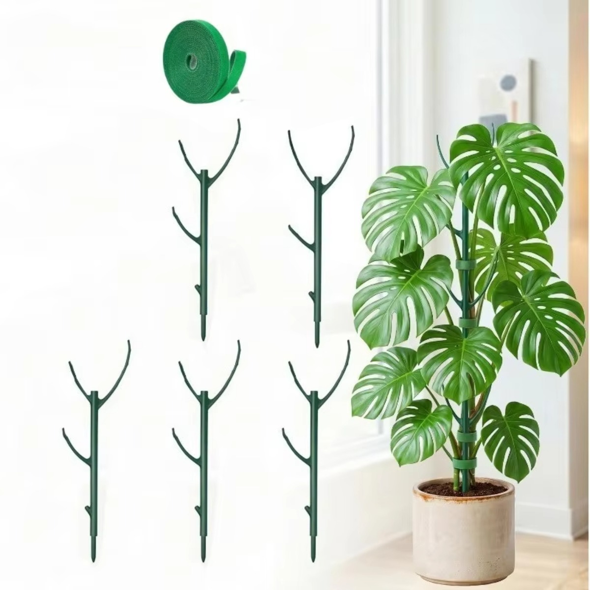 6Pcs Monstera Plant Support Se - Plant Support Stake recension och pris