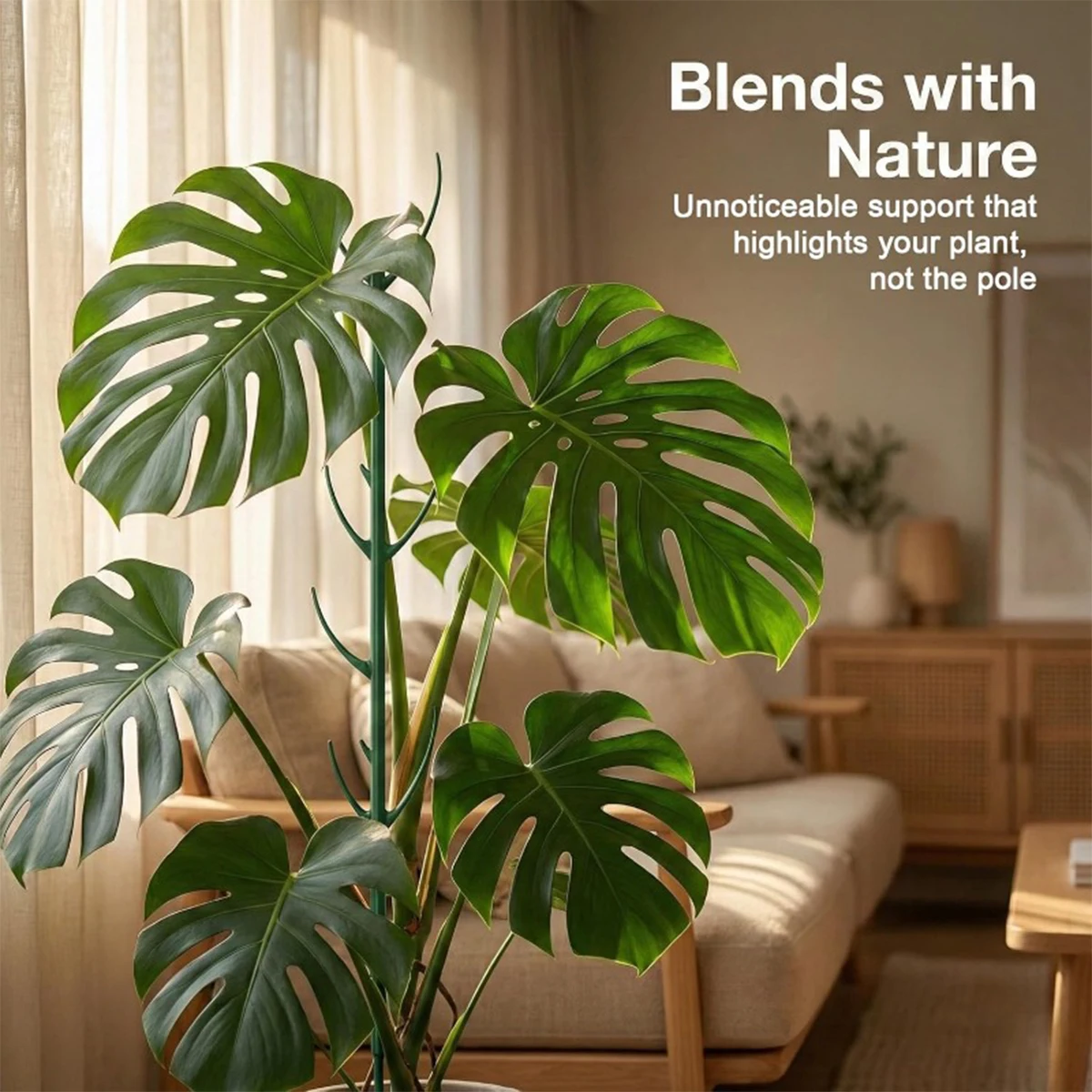 6Pcs Monstera Plant Support Se - Plant Support Stake recension och pris