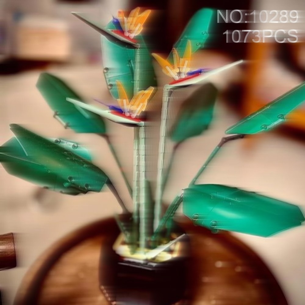 Beautiful Bird of Paradise Bou - The Plant Parent recension och pris