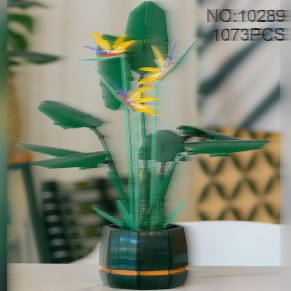 Beautiful Bird of Paradise Bou - The Plant Parent recension och pris