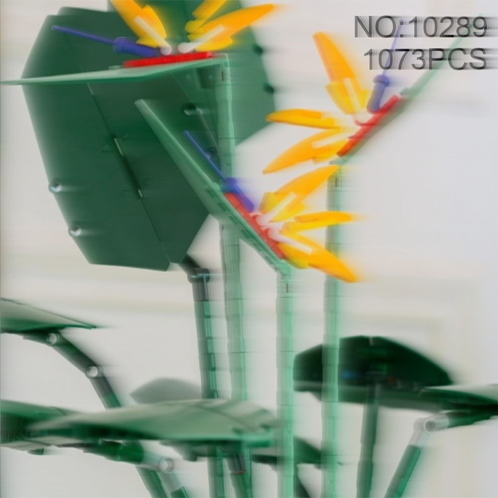 Beautiful Bird of Paradise Bou - The Plant Parent recension och pris