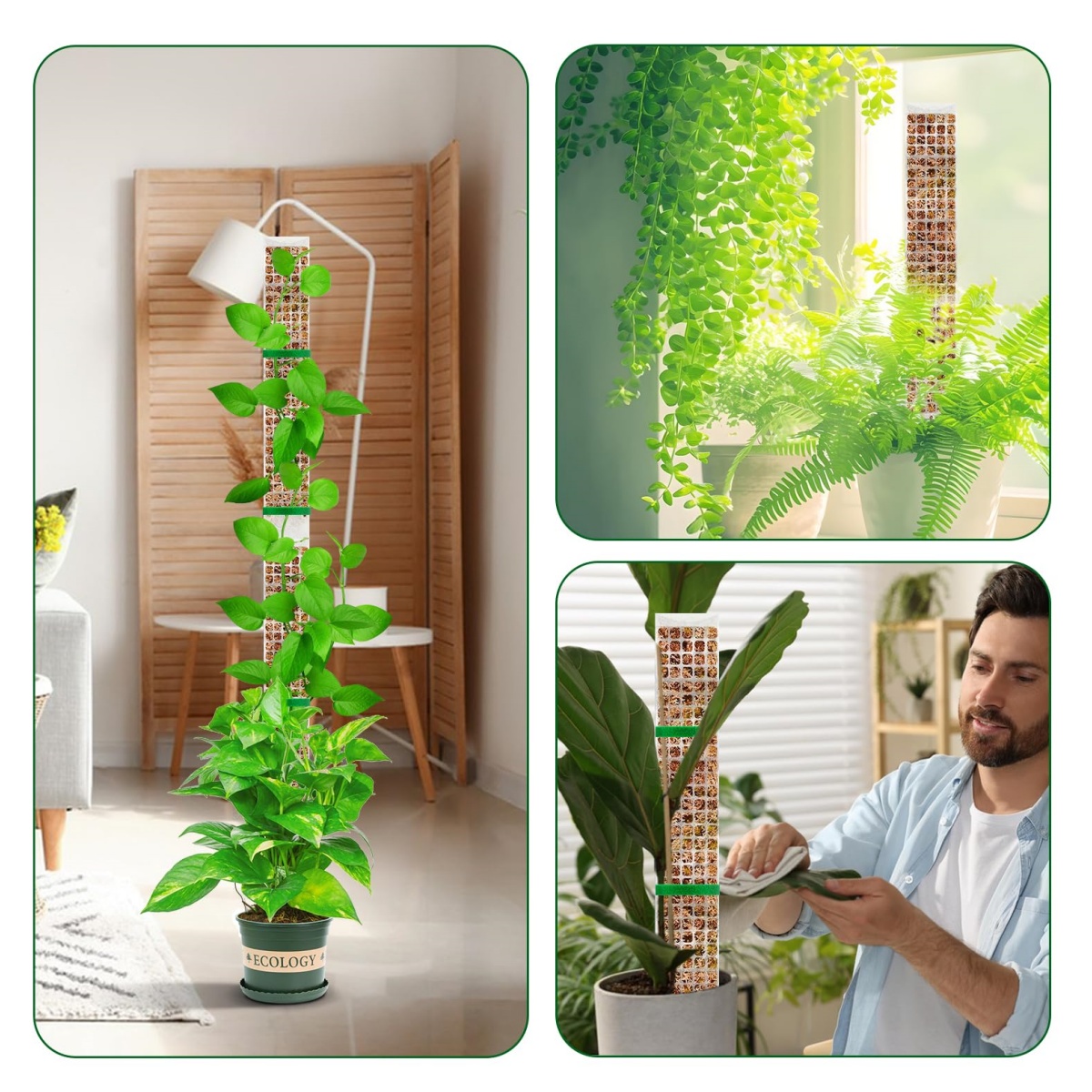 Stackable Plastic Moss Pole fo - Plant Support Stake recension och pris