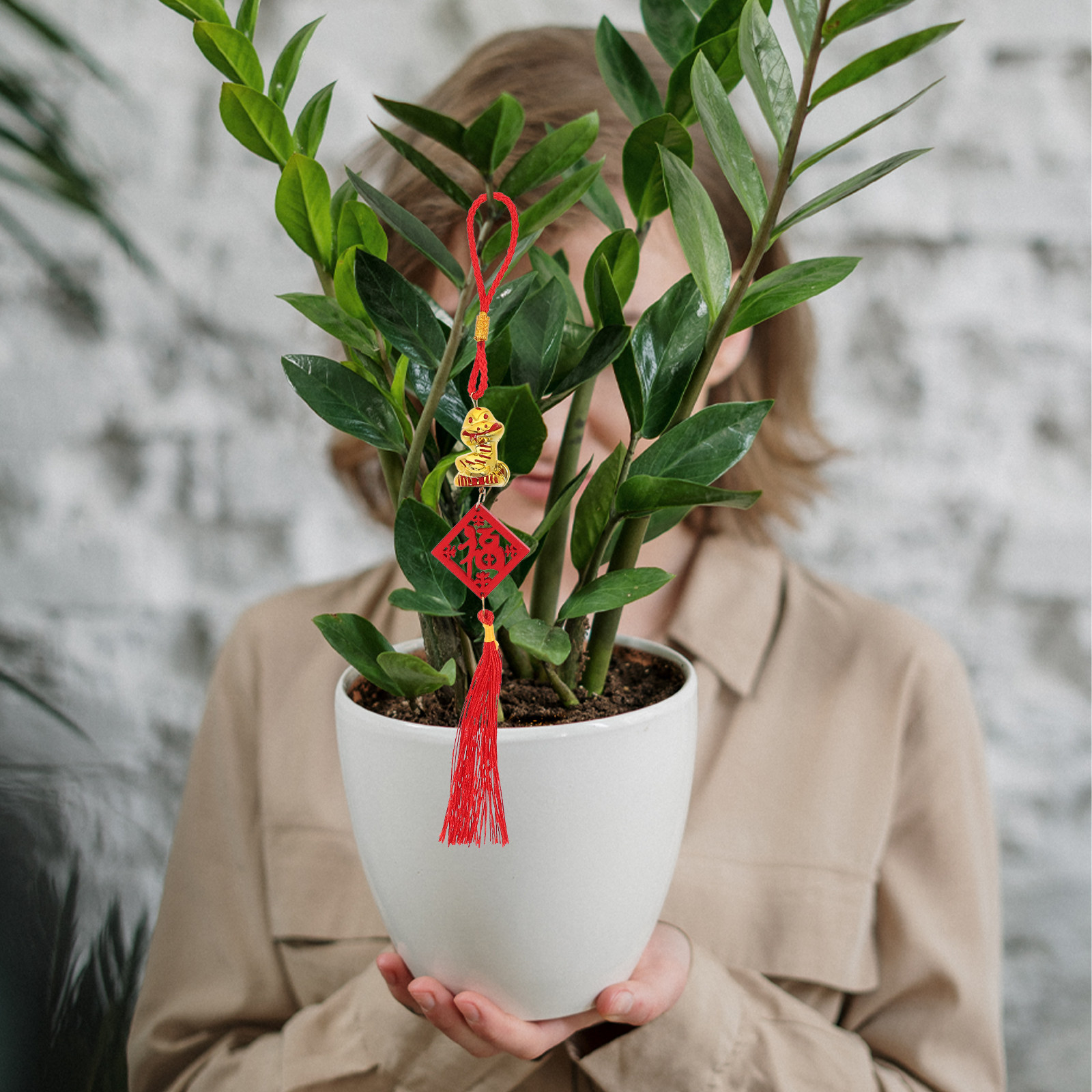 5Pcs Year of The Snake 2025 Wo - Snake Plant recension och pris