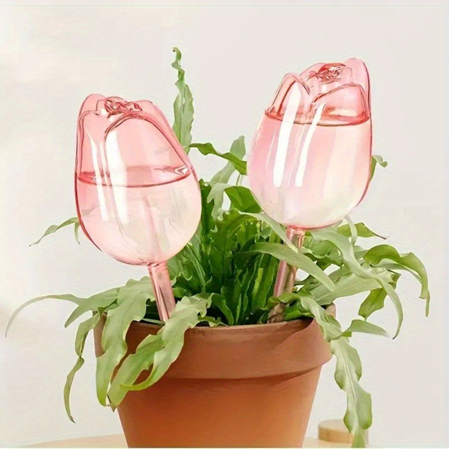 Transparent Thick PET Tulip Sh - Pothos recension och pris
