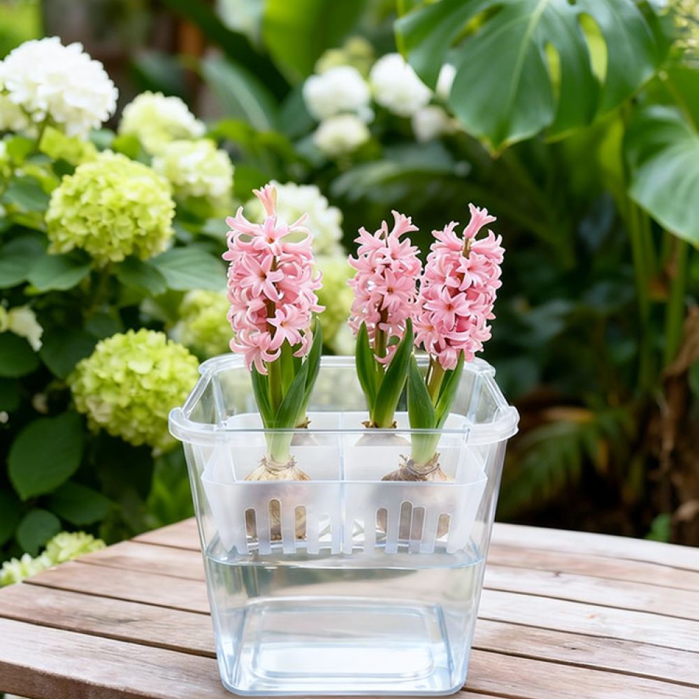 Hydroponic Vase For Tulip Lily - Plant Pot recension och pris