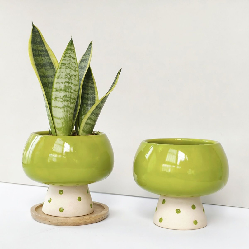 Stylish Minimalist Ceramic Flo - Snake Plant Ceramic recension och pris