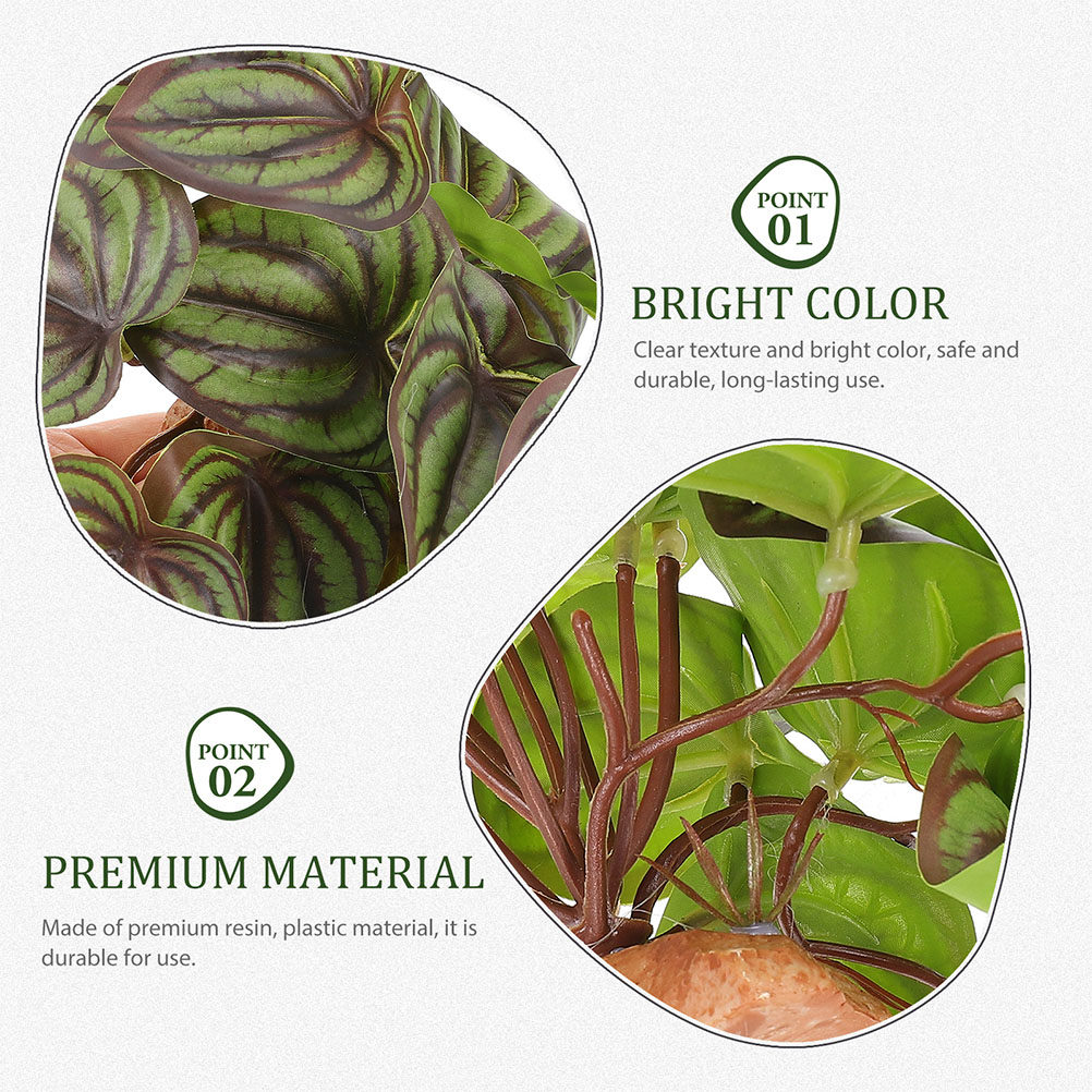 High Quality Simulation Terrar - Snake Plant recension och pris
