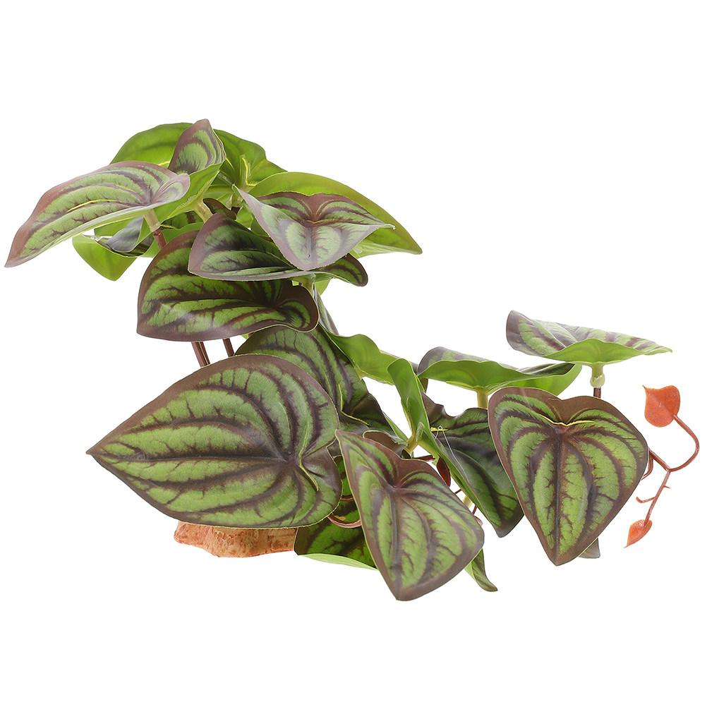 High Quality Simulation Terrar - Snake Plant recension och pris