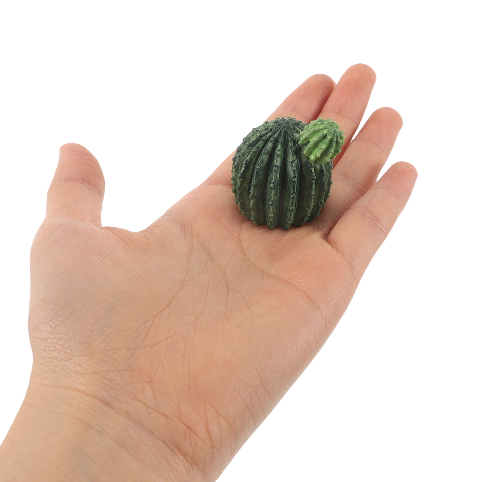 Mini Resin Cactus Succulent Pl - Succulent Set recension och pris