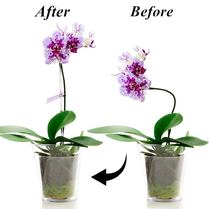 Reusable Clear Flower Support  - Plant Support Stake recension och pris