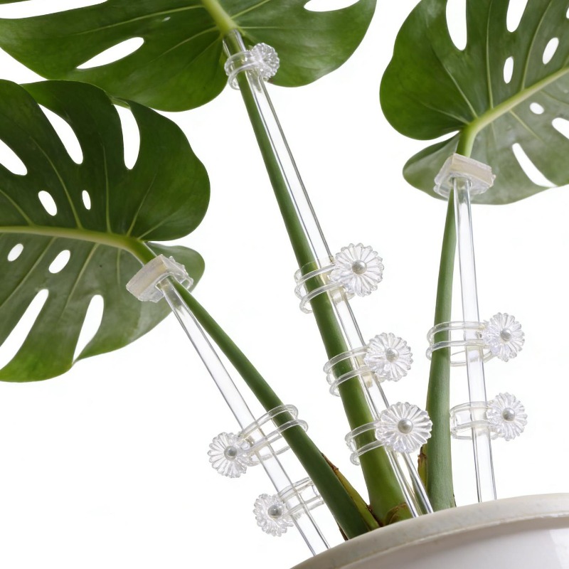 Reusable Clear Flower Support  - Plant Support Stake recension och pris