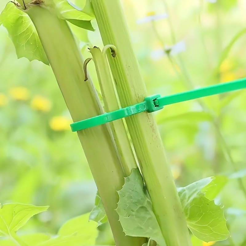 100pcs Garden Cable Tie, Plant - Plant Pot recension och pris