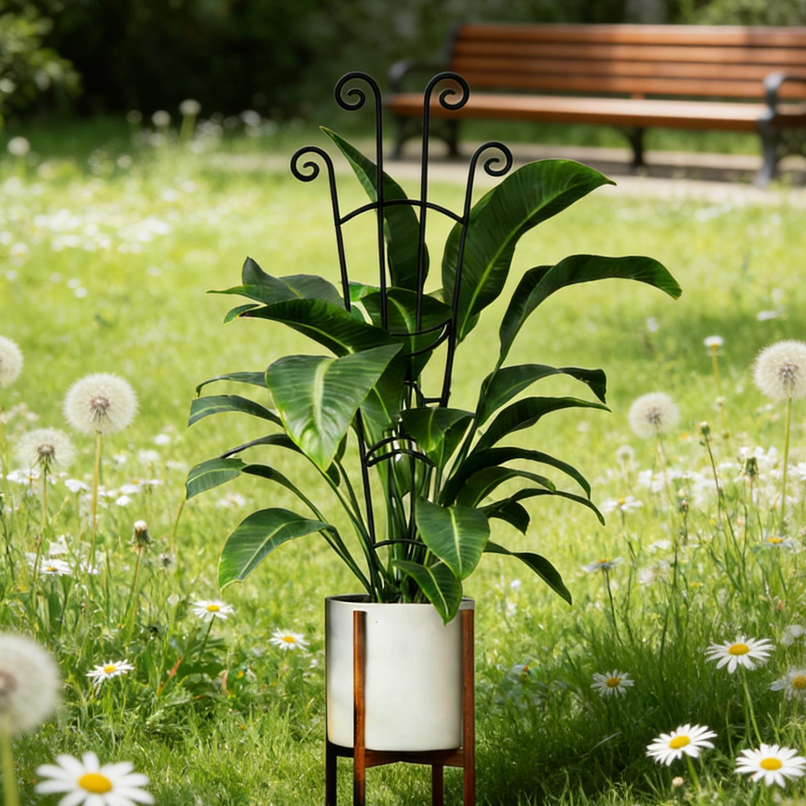 Plant Trellis Metal Plant Supp - Plant Support Stake recension och pris