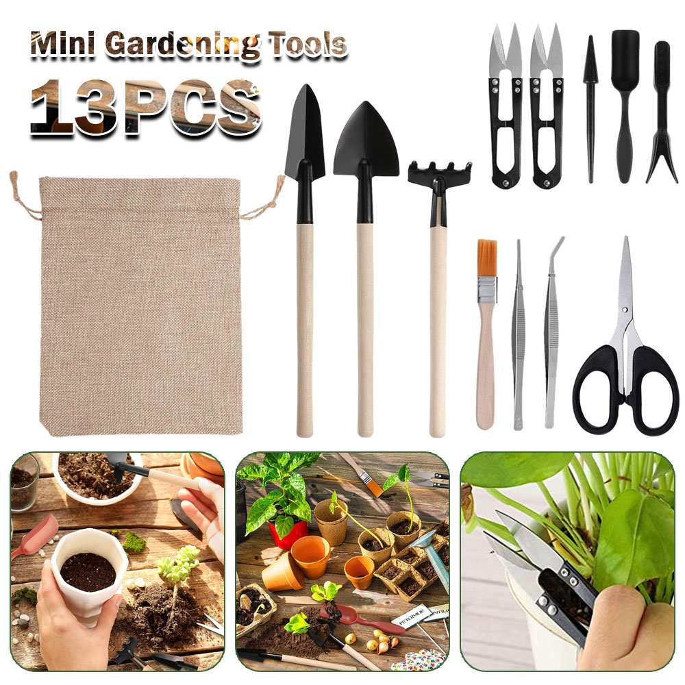 Succulent Plants Tools Mini Ga - Succulent Set recension och pris