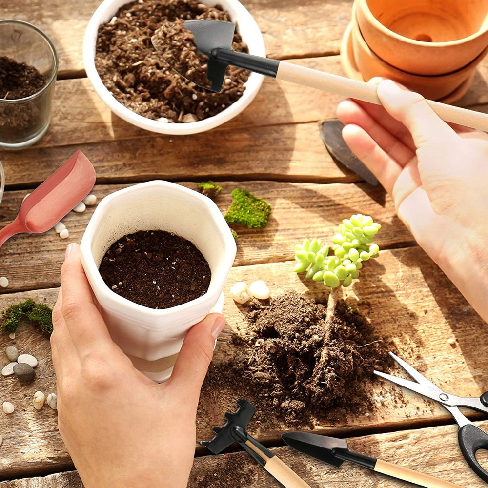 Succulent Plants Tools Mini Ga - Succulent Set recension och pris