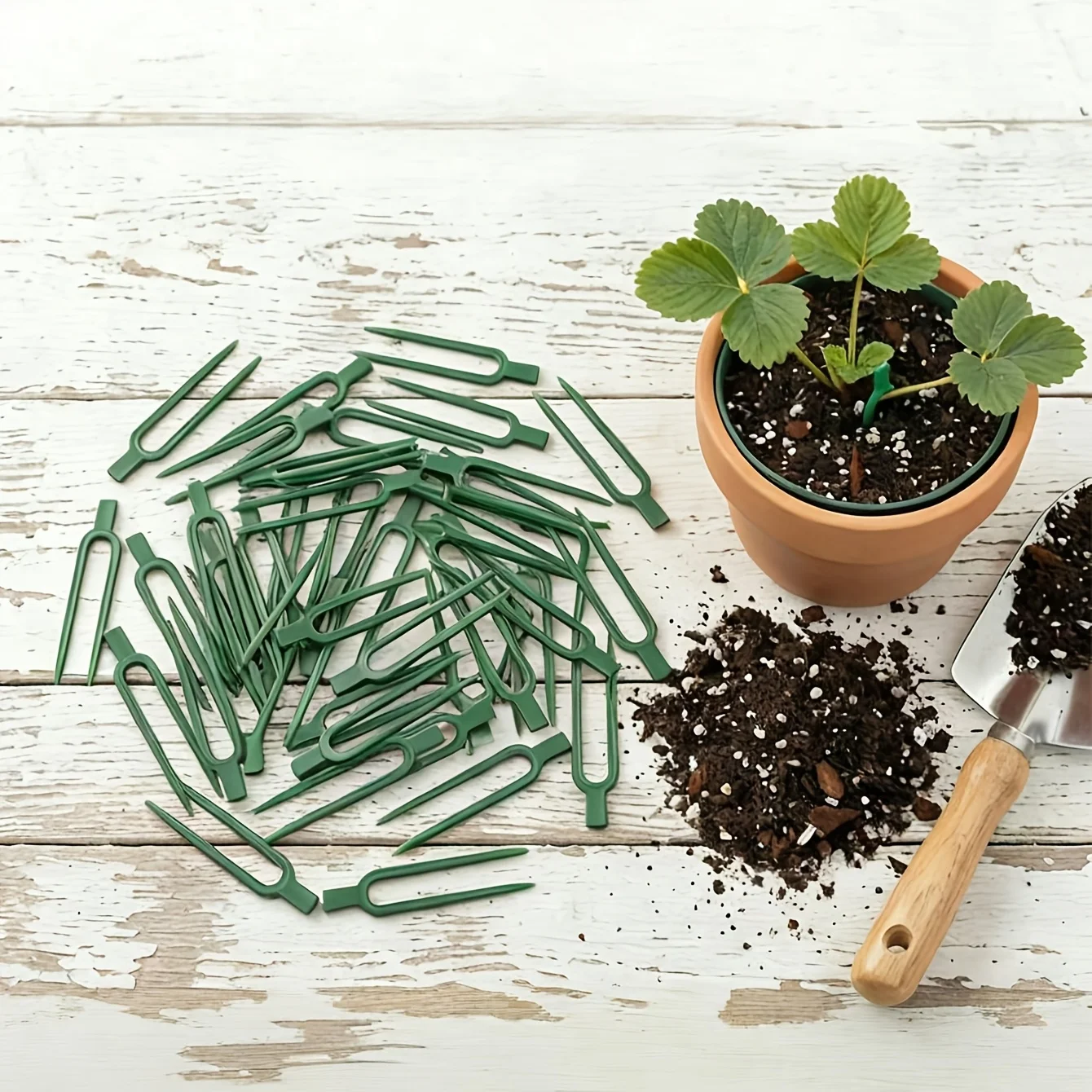 50pcs Plastic Plant Vine Sprea - Plant Support Stake recension och pris