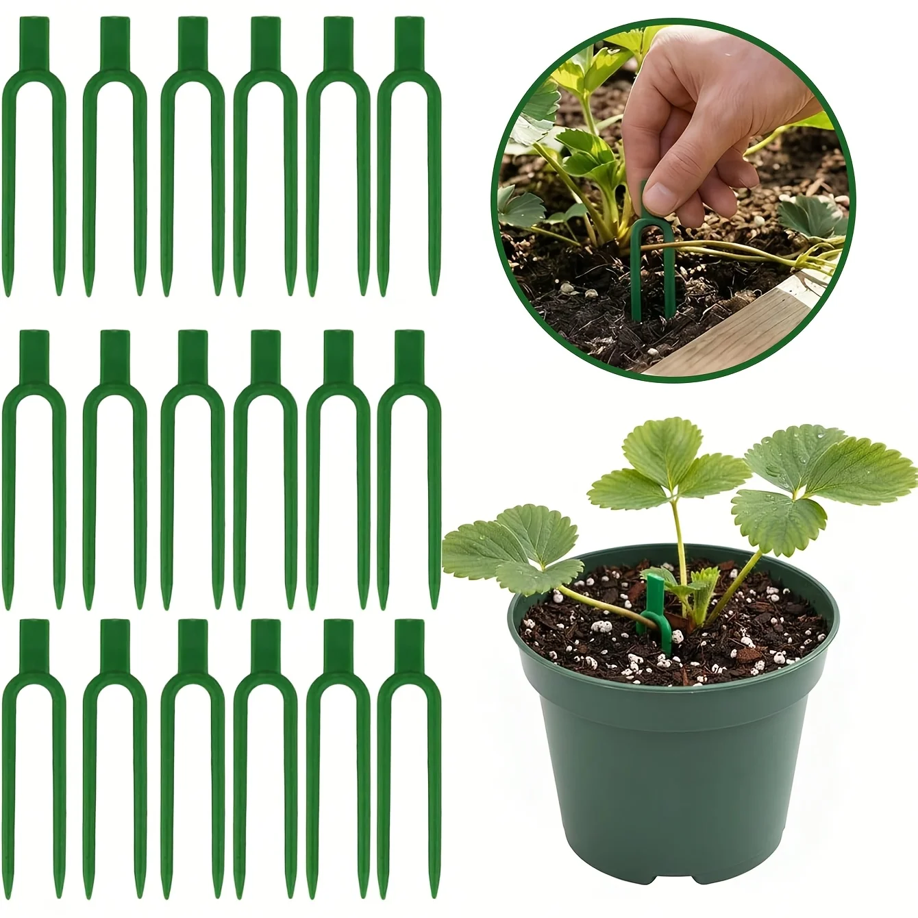 50pcs Plastic Plant Vine Sprea - Plant Support Stake recension och pris